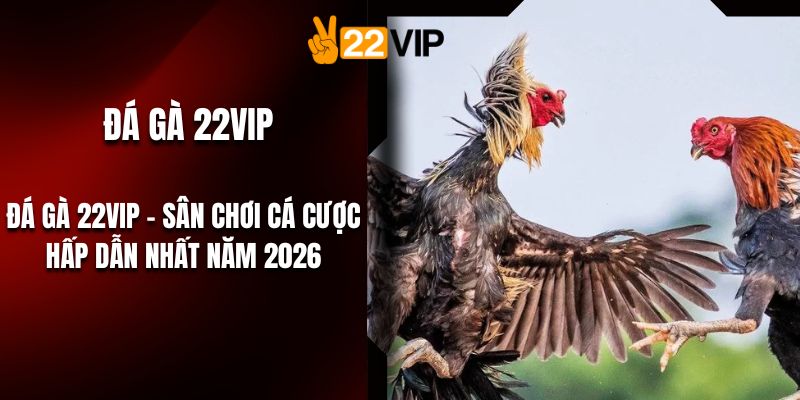 Đá Gà 22VIP – Sân Chơi Cá Cược Hấp Dẫn Nhất Năm 2026