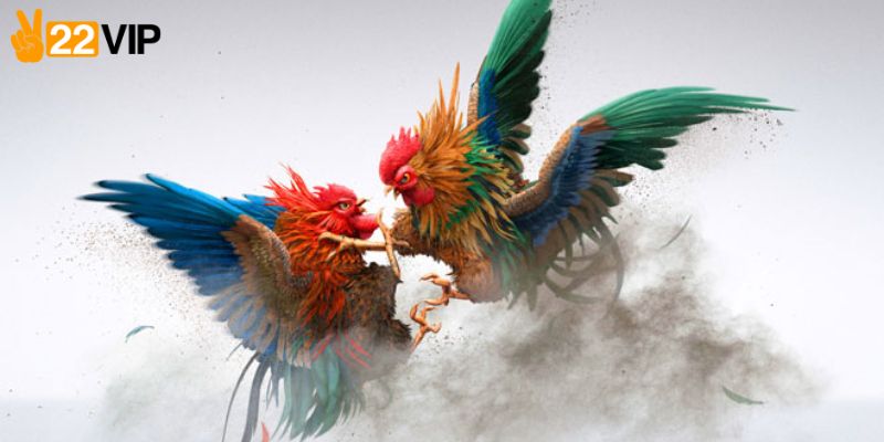 Kinh nghiệm tham gia cược