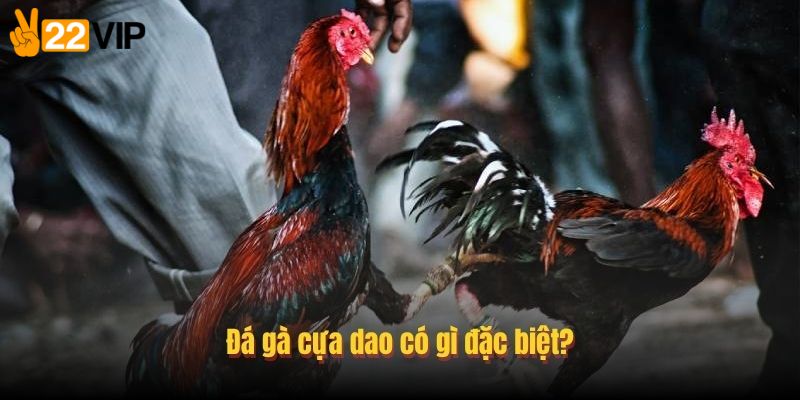 Lưu ý khi tham gia